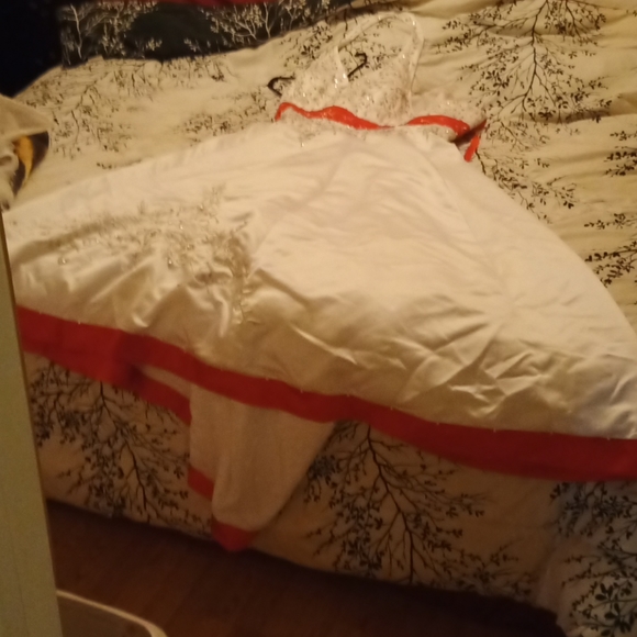 Beautiful wedding dress - Picture 1 of 4